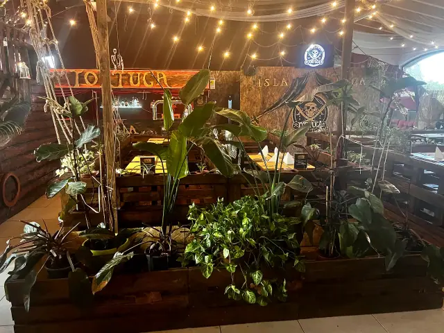 Vegetazione e luci decorative negli interni del Tortuga